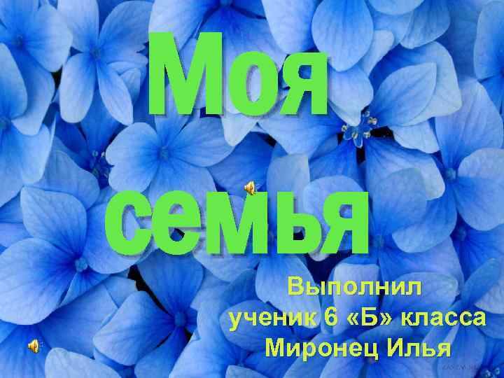 Моя семья Выполнил ученик 6 «Б» класса Миронец Илья 