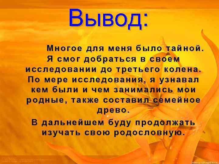 Вывод: Многое для меня было тайной. Я смог добраться в своем исследовании до третьего