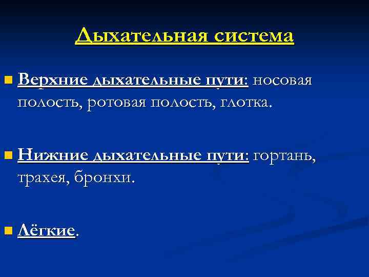 Дыхательная система n Верхние дыхательные пути: носовая полость, ротовая полость, глотка. n Нижние дыхательные