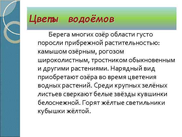 Цветы водоёмов Берега многих озёр области густо поросли прибрежной растительностью: камышом озёрным, рогозом широколистным,