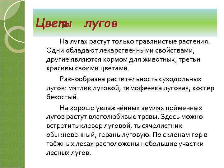 Цветы лугов На лугах растут только травянистые растения. Одни обладают лекарственными свойствами, другие являются