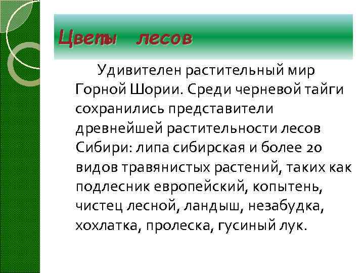 Цветы лесов Удивителен растительный мир Горной Шории. Среди черневой тайги сохранились представители древнейшей растительности