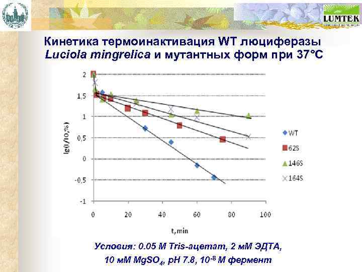 Кинетика термоинактивация WT люциферазы Luciola mingrelica и мутантных форм при 37°С Условия: 0. 05