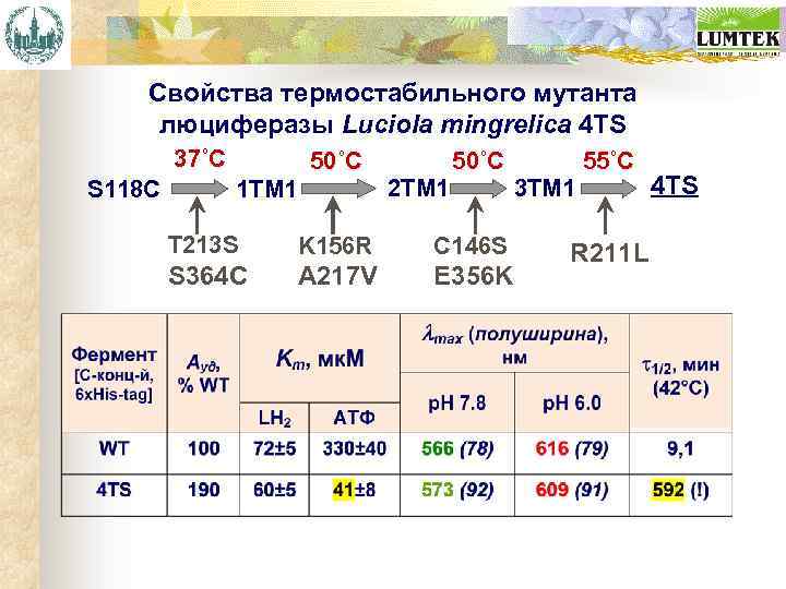 Свойства термостабильного мутанта люциферазы Luciola mingrelica 4 TS 37˚C S 118 C 50˚C 2