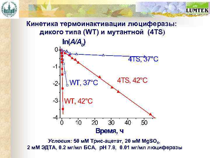 Кинетика термоинактивации люциферазы: дикого типа (WT) и мутантной (4 TS) Условия: 50 м. М