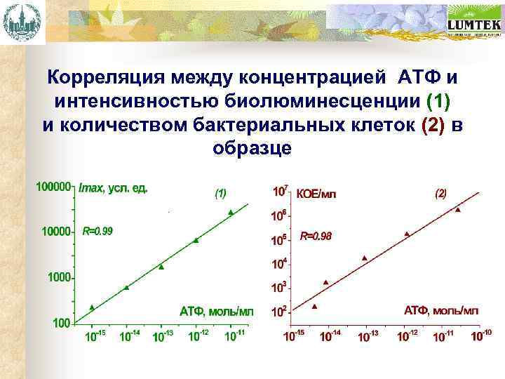 Корреляция между концентрацией АТФ и интенсивностью биолюминесценции (1) и количеством бактериальных клеток (2) в