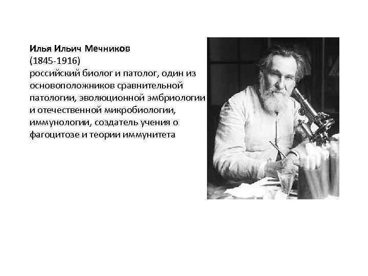 Илья Ильич Мечников (1845 -1916) российский биолог и патолог, один из основоположников сравнительной патологии,