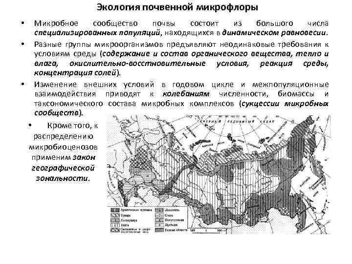 Экология почвенной микрофлоры Микробное сообщество почвы состоит из большого числа специализированных популяций, находящихся в