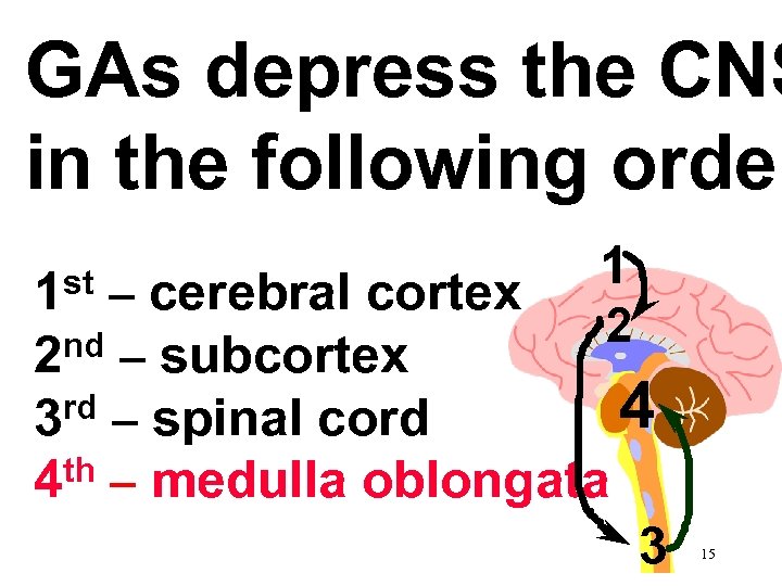 GAs depress the CNS in the following order st 1 1 – cerebral cortex