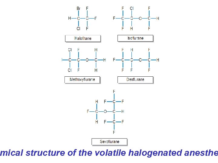 mical structure of the volatile halogenated anesthe 