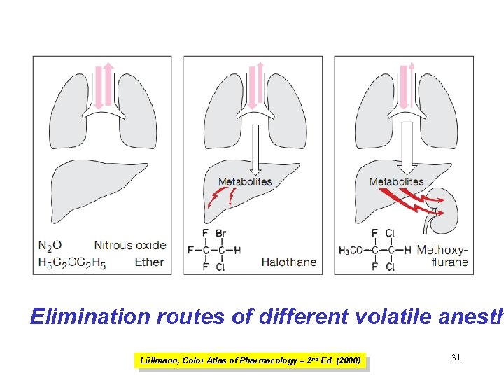 Elimination routes of different volatile anesth Lüllmann, Color Atlas of Pharmacology – 2 nd