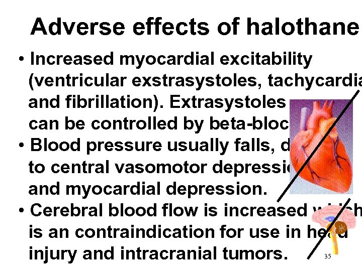 Adverse effects of halothane • Increased myocardial excitability (ventricular exstrasystoles, tachycardia and fibrillation). Extrasystoles