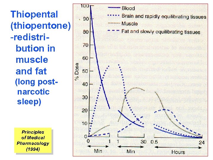 Thiopental (thiopentone) -redistribution in muscle and fat (long postnarcotic sleep) Principles of Medical Pharmacology