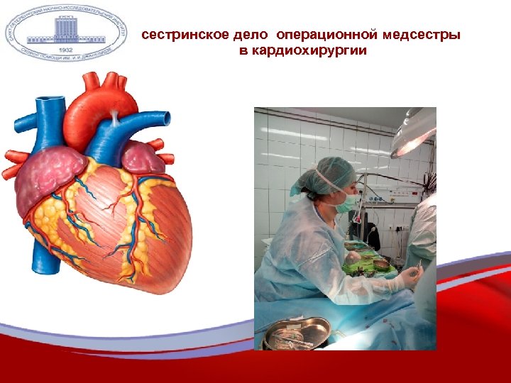 сестринское дело операционной медсестры в кардиохирургии 