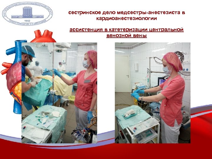 сестринское дело медсестры-анестезиста в кардиоанестезиологии ассистенция в катетеризации центральной венозной вены 