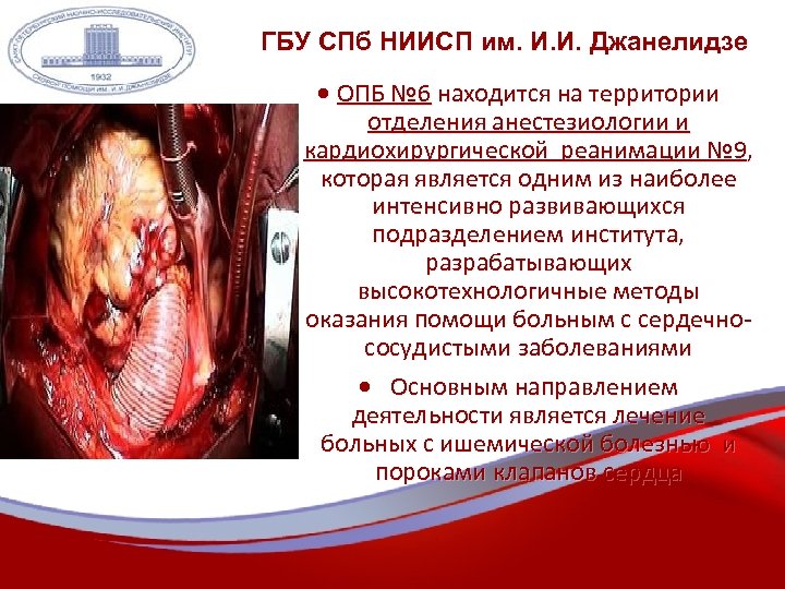 ГБУ СПб НИИСП им. И. И. Джанелидзе ОПБ № 6 находится на территории отделения