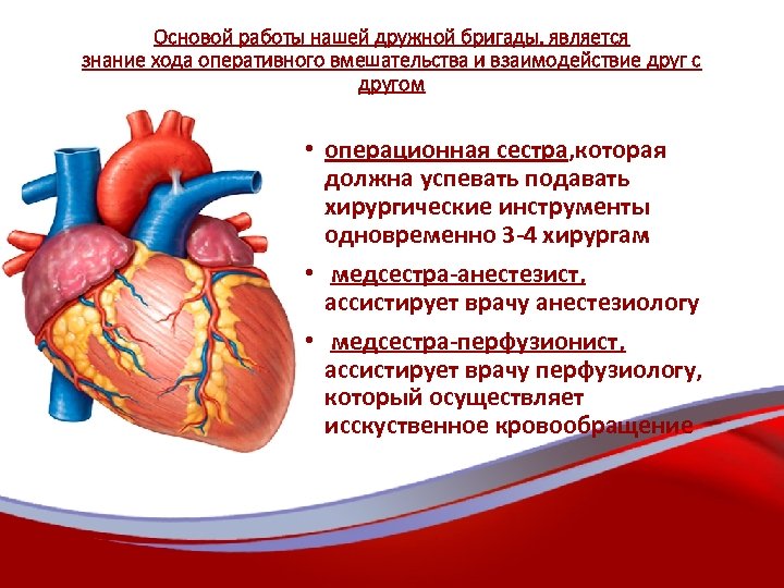 Основой работы нашей дружной бригады, является знание хода оперативного вмешательства и взаимодействие друг с