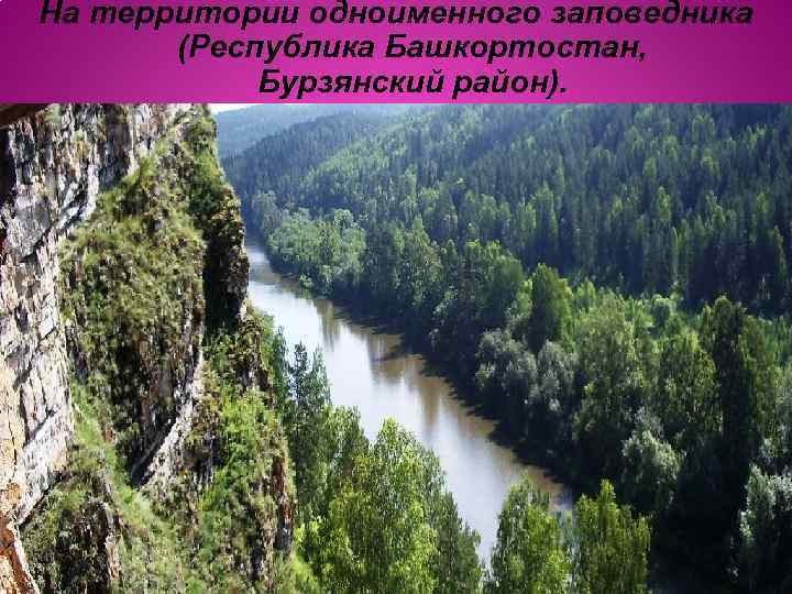 На территории одноименного заповедника (Республика Башкортостан, Бурзянский район). 