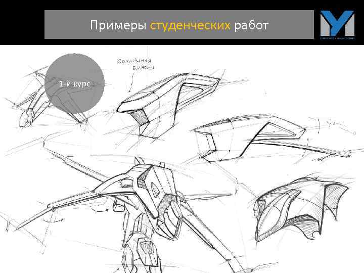 Примеры студенческих работ 1 -й курс 