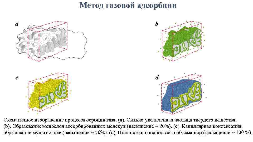 Метод газовой адсорбции a b c d Схематичное изображение процесса сорбции газа. (а). Сильно
