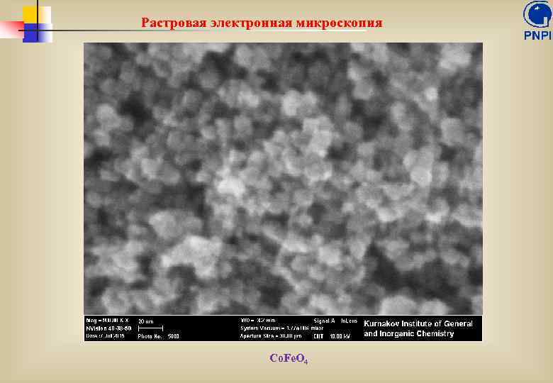 Растровая электронная микроскопия Co. Fe. O 4 