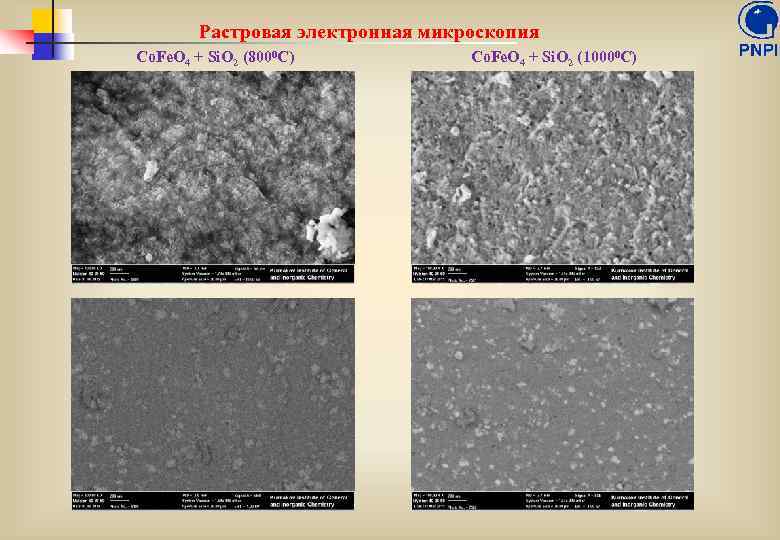 Растровая электронная микроскопия Co. Fe. O 4 + Si. O 2 (8000 С) Co.