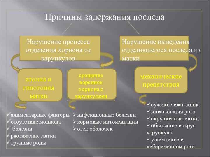 Причины задержания последа Нарушение процесса отделения хориона от карункулов атония и гипотония матки Нарушение