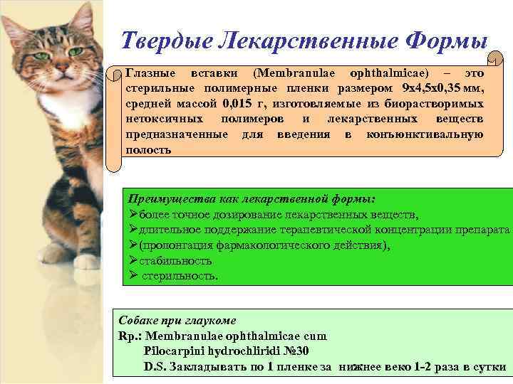 Твердые Лекарственные Формы Глазные вставки (Membranulae ophthalmicae) – это стерильные полимерные пленки размером 9