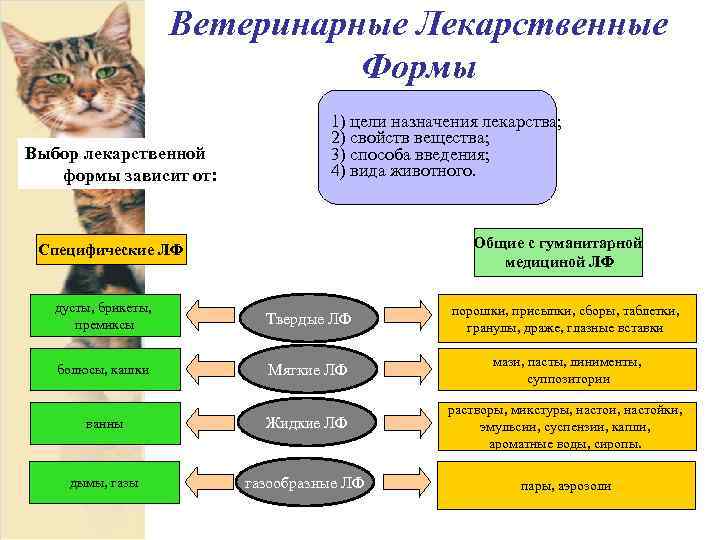 Ветеринарные Лекарственные Формы Выбор лекарственной формы зависит от: 1) цели назначения лекарства; 2) свойств