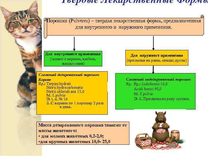 Твердые Лекарственные Формы Порошки (Pulveres) – твердая лекарственная форма, предназначенная для внутреннего и наружного