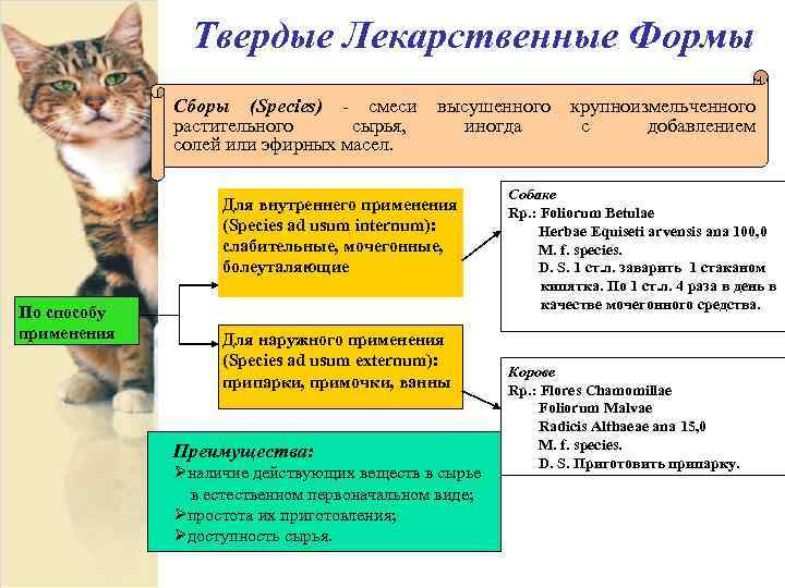 Твердые Лекарственные Формы Сборы (Species) - смеси высушенного крупноизмельченного растительного сырья, иногда с добавлением