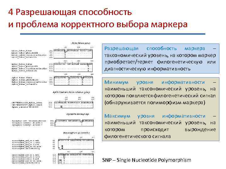4 Разрешающая способность и проблема корректного выбора маркера Разрешающая способность маркера – таксономический уровень,