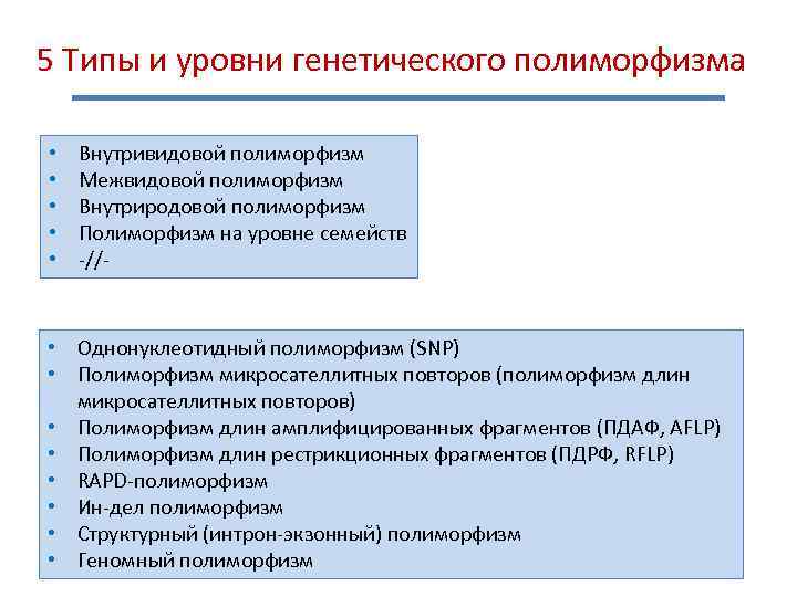 5 Типы и уровни генетического полиморфизма • • • Внутривидовой полиморфизм Межвидовой полиморфизм Внутриродовой