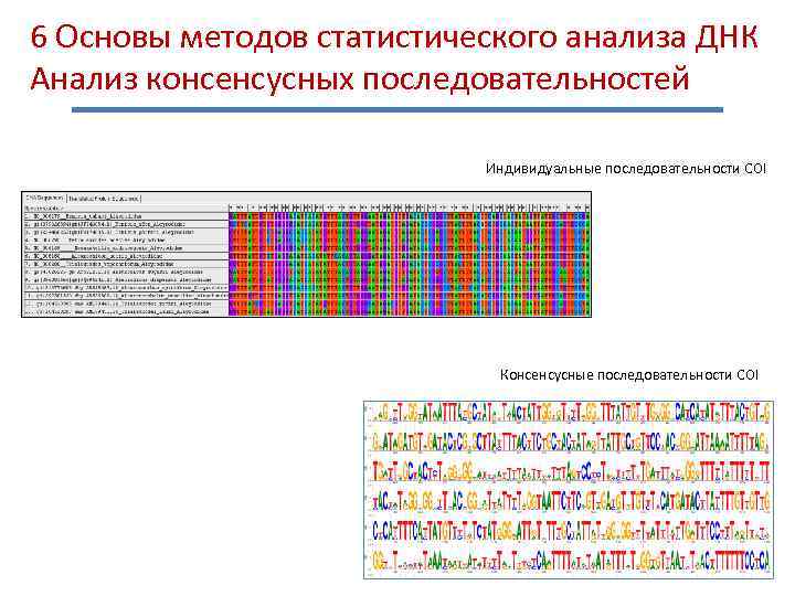 Анализ последовательностей. Анализ генетических последовательностей. Анализ последовательности ДНК. Последовательность анализа. Консенсусная последовательность ДНК.