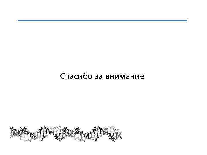 Спасибо за внимание 