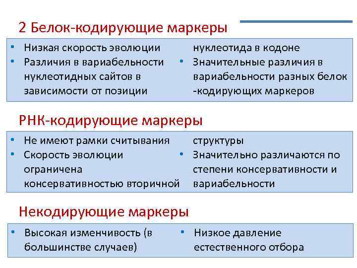 2 Белок-кодирующие маркеры • Низкая скорость эволюции • Различия в вариабельности нуклеотидных сайтов в