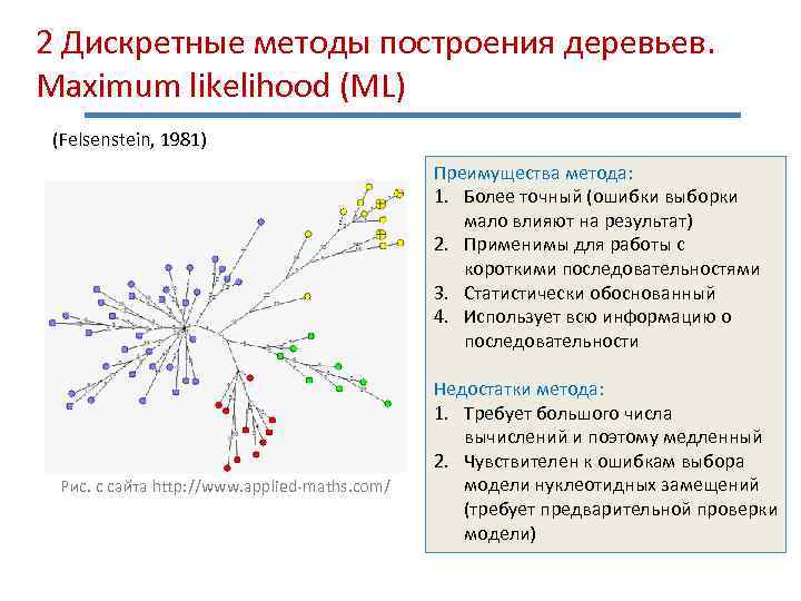 2 Дискретные методы построения деревьев. Maximum likelihood (ML) (Felsenstein, 1981) Преимущества метода: 1. Более