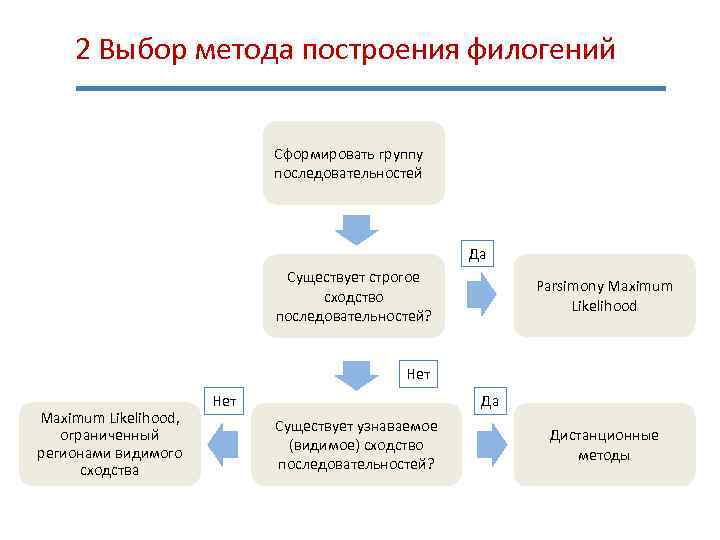  2 Выбор метода построения филогений Сформировать группу последовательностей Да Существует строгое сходство последовательностей?