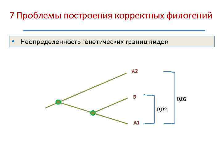 7 Проблемы построения корректных филогений • Неопределенность генетических границ видов А 2 В 0,