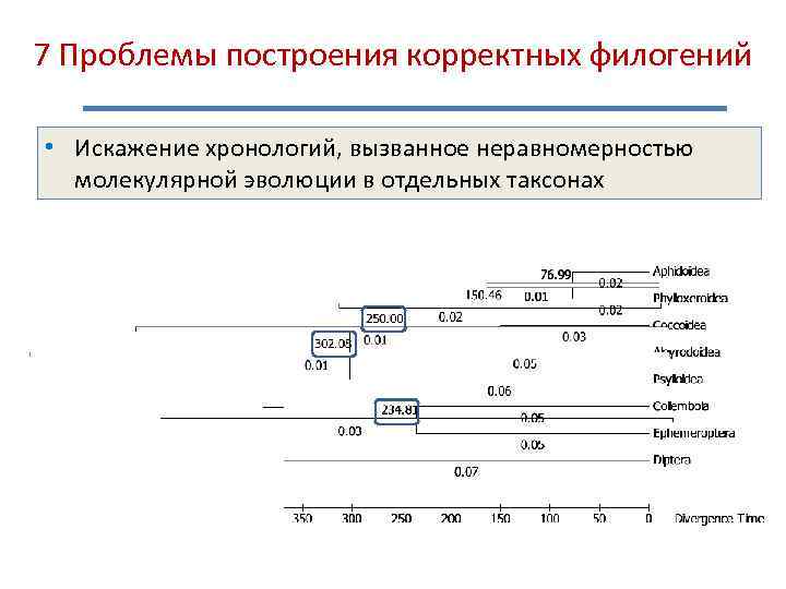 7 Проблемы построения корректных филогений • Искажение хронологий, вызванное неравномерностью молекулярной эволюции в отдельных