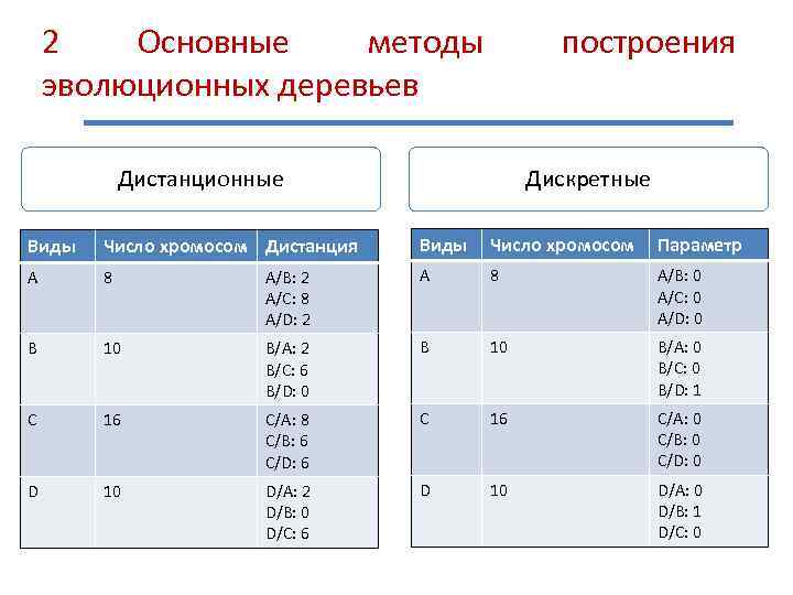 2 Основные методы эволюционных деревьев Дистанционные построения Дискретные Виды Число хромосом Дистанция Виды Число