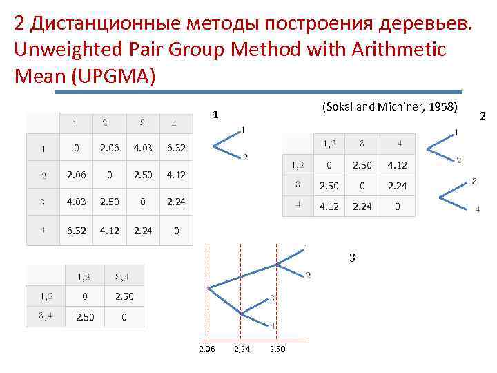 2 Дистанционные методы построения деревьев. Unweighted Pair Group Method with Arithmetic Mean (UPGMA) (Sokal