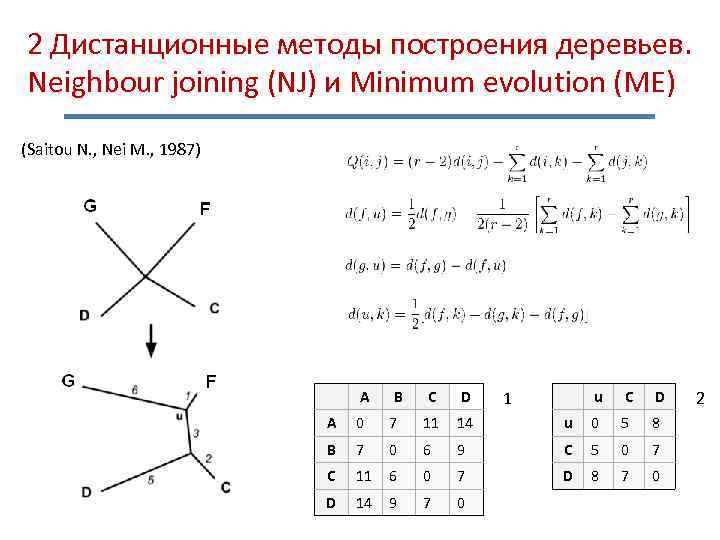2 Дистанционные методы построения деревьев. Neighbour joining (NJ) и Minimum evolution (ME) (Saitou N.