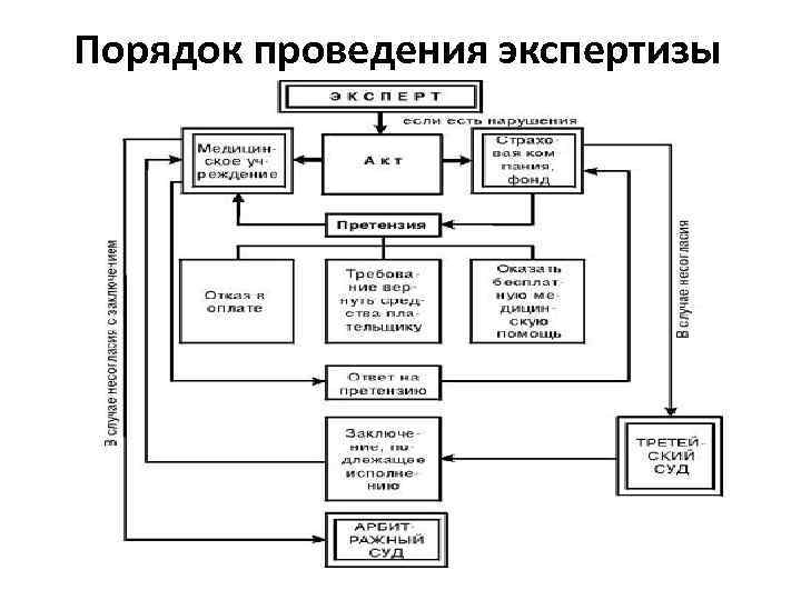 Порядок проведения экспертизы 