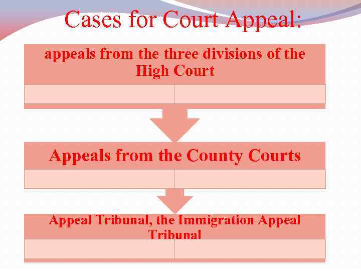 Cases for Court Appeal: appeals from the three divisions of the High Court Appeals
