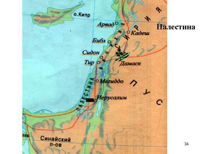 Палестина 24 