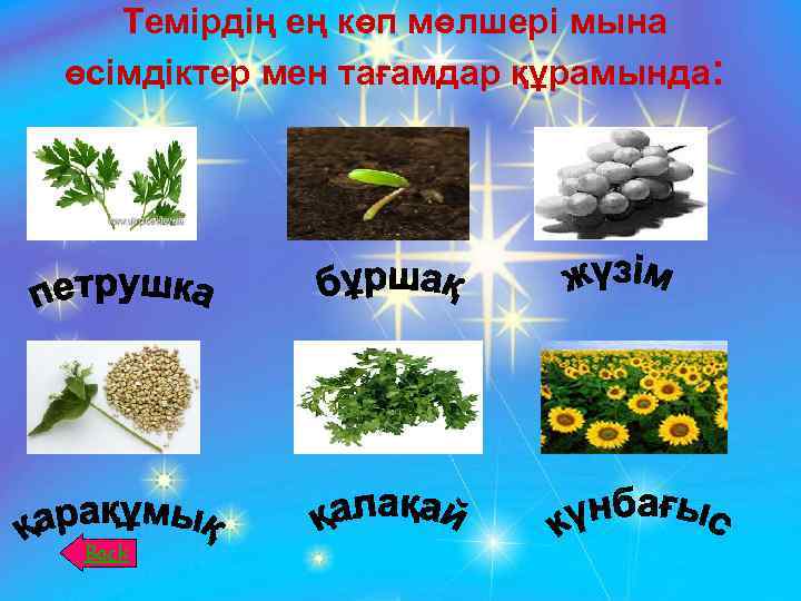 Темірдің ең көп мөлшері мына өсімдіктер мен тағамдар құрамында: Back 