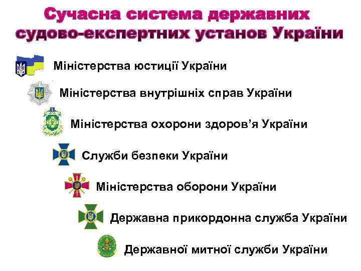 Міністерства юстиції України Міністерства внутрішніх справ України Міністерства охорони здоров’я України Служби безпеки України