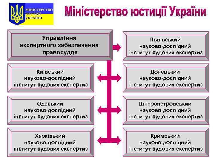 Управління експертного забезпечення правосуддя Львівський науково-дослідний інститут судових експертиз Київський науково-дослідний інститут судових експертиз