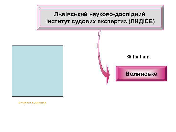 Львівський науково-дослідний інститут судових експертиз (ЛНДІСЕ) Філіал Волинське Історична довідка. 